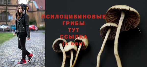 COCAINE Краснослободск