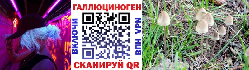 Псилоцибиновые грибы ЛСД  Купить закладки  Химки 